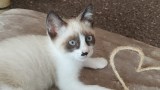Billy (1)
